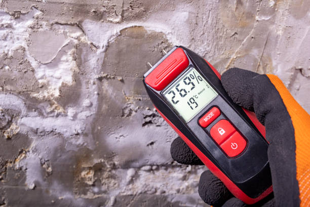 Best Professional Mold Removal  in Avondale, LA